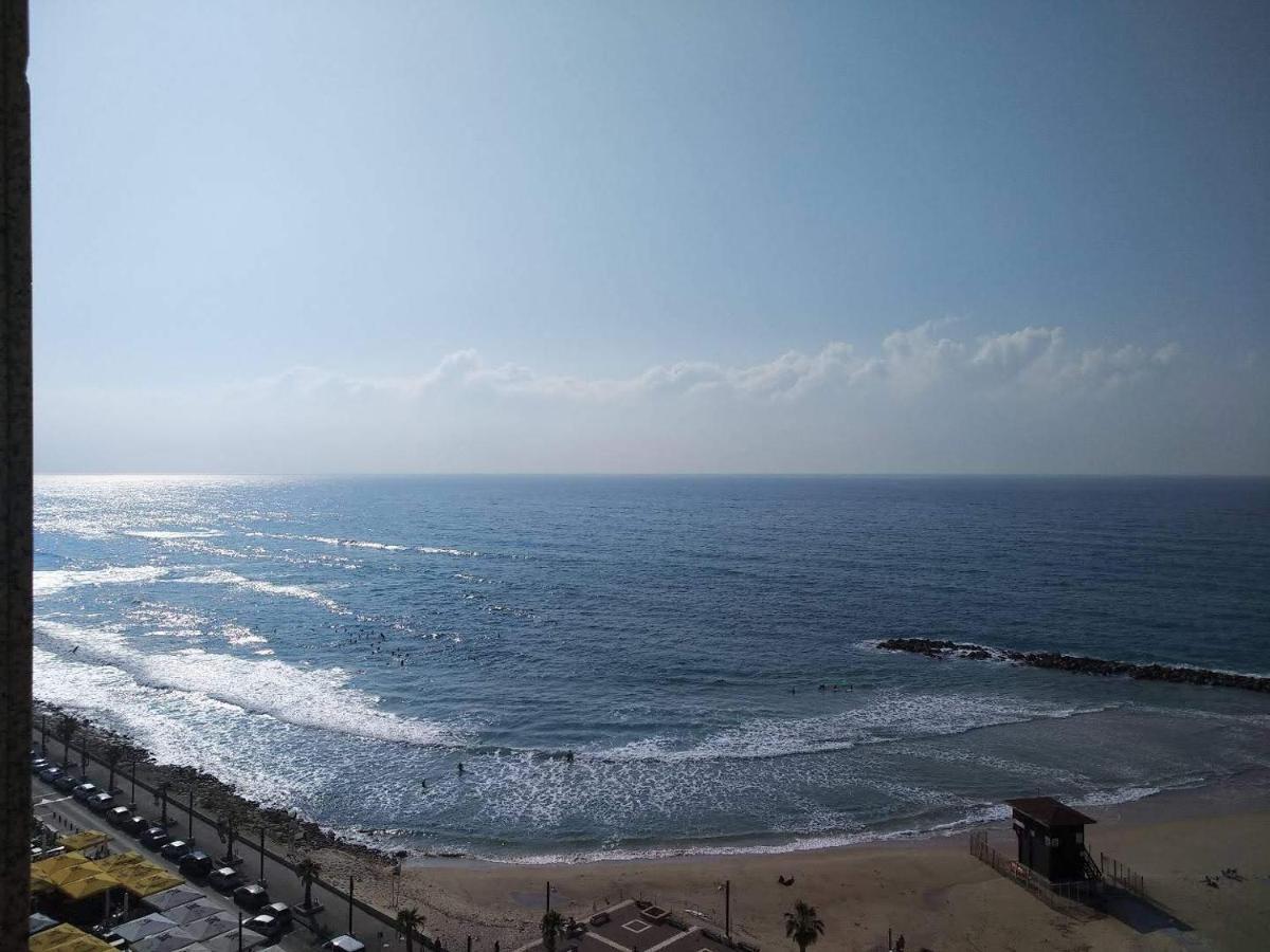 Almogim- Almog Building Haifa Pokoj fotografie